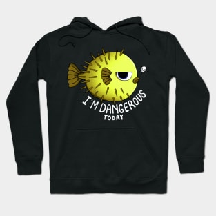 I Am Dangerous Today Hoodie